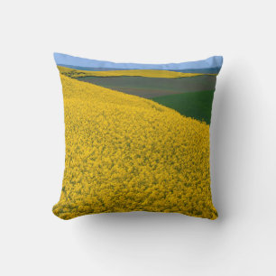 Cojín Decorativo EE.UU., Washington, Condado de Whitman, Palouse, C