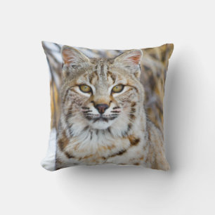 Cojín Decorativo EEUU, Wyoming, retrato de Bobcat