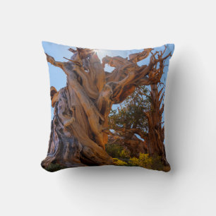 Cojín Decorativo El árbol centinela