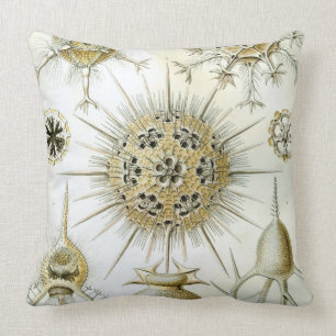 Cojín Decorativo El arte de la naturaleza de Ernst Haeckel