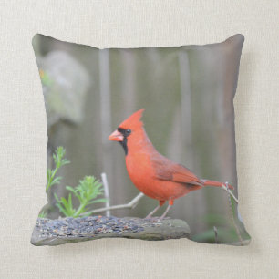 Cojín Decorativo ¡El cardenal guarda su escondite!