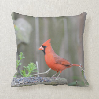 Cojín Decorativo ¡El cardenal guarda su escondite!