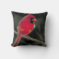 El cardenal rojo encaramado en una rama de árbol