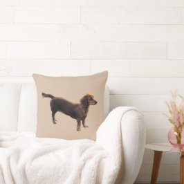 Cojín Decorativo El Dachshund Dorado