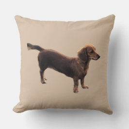 Cojín Decorativo El Dachshund Dorado