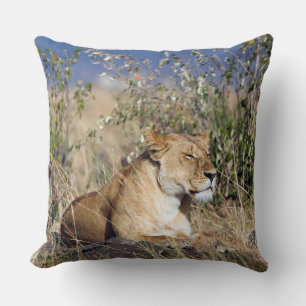 Cojín Decorativo El descanso de la leona