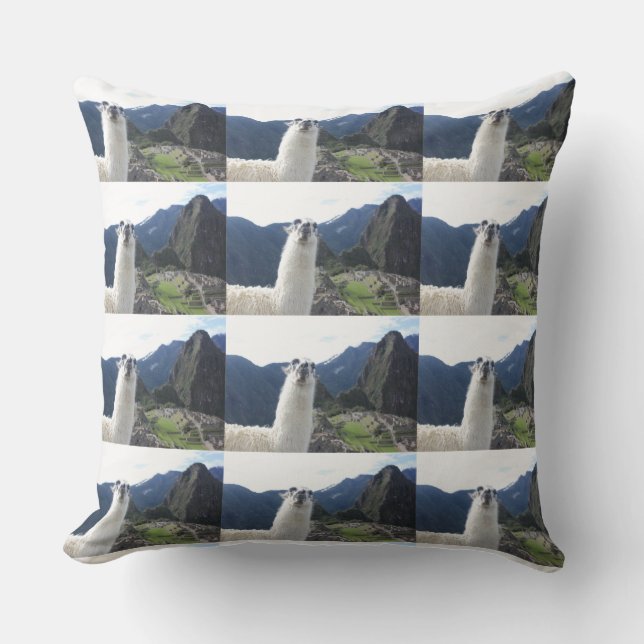 Cojín Decorativo El Destino Del Personalizado Animal De Llama (Anverso)