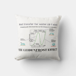 Cojín Decorativo El Efecto Leidenfrost Química Agua