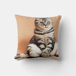 Cojín Decorativo El Gatito Cute Se Extiende