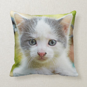 Cojín Decorativo El gatito monta una bici