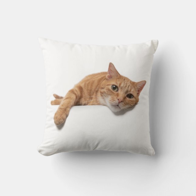 Cojín Decorativo El gato del naranja está tumbado (Anverso)