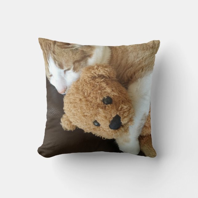 Cojín Decorativo El gato sostiene el oso de peluche viejo (Anverso)