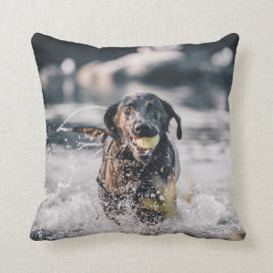 Cojín Decorativo El Labrador Negro Juega A La Obra En El Agua