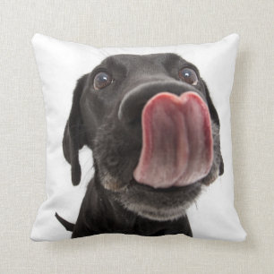 Cojín Decorativo El labrador negro toca la nariz