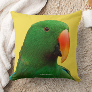 Cojín Decorativo "El Orador Verde" Eclectus Parrot