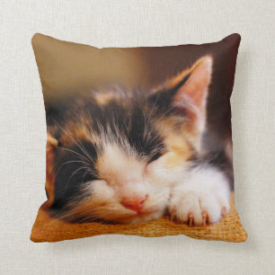 Cojín Decorativo El pequeño dormir del gatito