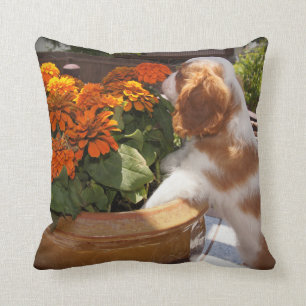 Cojín Decorativo El perrito arrogante del perro de aguas de rey