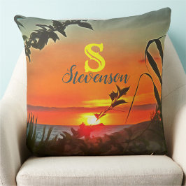 Cojín Decorativo El Río Pitillal 2009