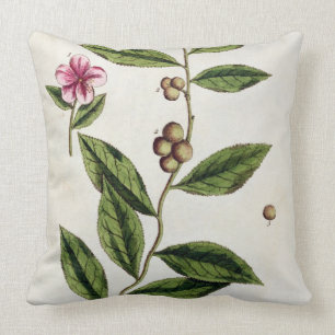 Cojín Decorativo El té verde, platea 351 "de un herbario curioso",