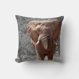 Cojín Decorativo Elefante africano