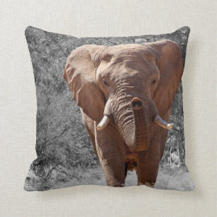 Cojín Decorativo Elefante africano