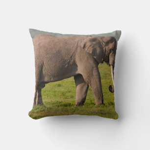 Cojín Decorativo Elefante africano, Área de conservación de Ngorong
