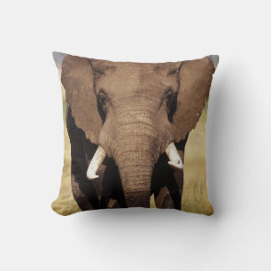 Cojín Decorativo Elefante africano de sabana