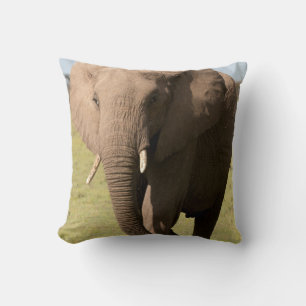 Cojín Decorativo Elefante africano (Loxodonta Africana), Maasai