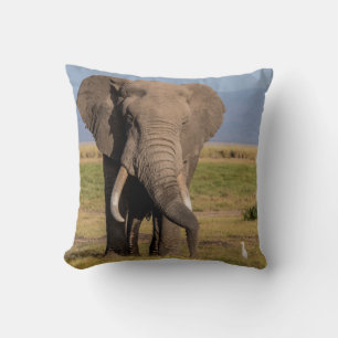 Cojín Decorativo Elefante Buscando