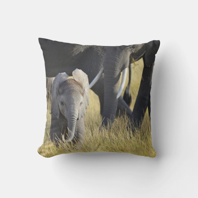 Cojín Decorativo Elefante del bebé (Anverso)