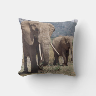 Cojín Decorativo Elefante madre caminando con ternera elefante