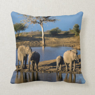 Cojín Decorativo Elefantes de la Bush africana (Loxodonta Africana)