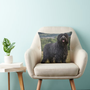 Cojín Decorativo "Elegancia despeinada: el perro pastor Bergamasco
