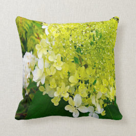 Cojín Decorativo Elegante Chartreuse Green Limelight Hydrangea