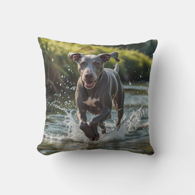 Cojín decorativo elegante de Weimaraner (Anverso)