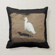 Elegante Foto De Egret Blanco Gran Pájaro Salvaje