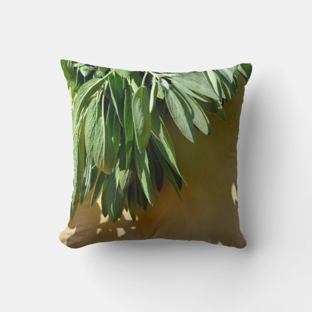 Cojín Decorativo Elegantes hierbas botánicas de vegetación boho (Anverso)