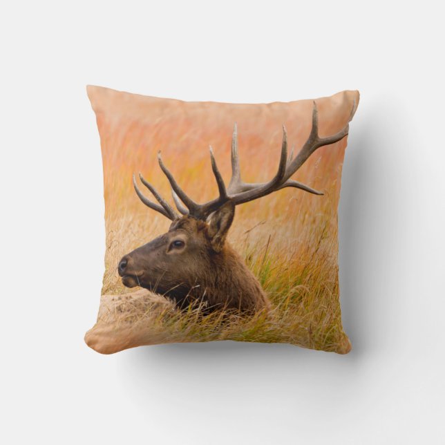 Cojín Decorativo Elk (Cervus Elephus) descansa en pradera (Anverso)
