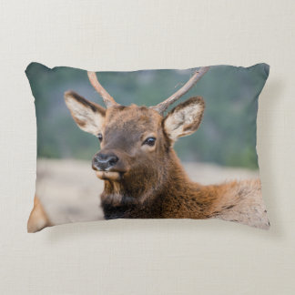 COJÍN DECORATIVO ELK EN EL PARQUE NACIONAL DE LA MONTAÑA ROCKY - EL