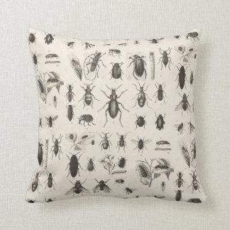 Cojín Decorativo Entomología antigua de los insectos y de los