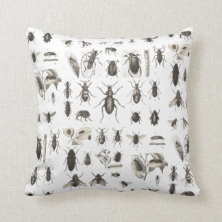 Cojín Decorativo Entomología antigua de los insectos y de los