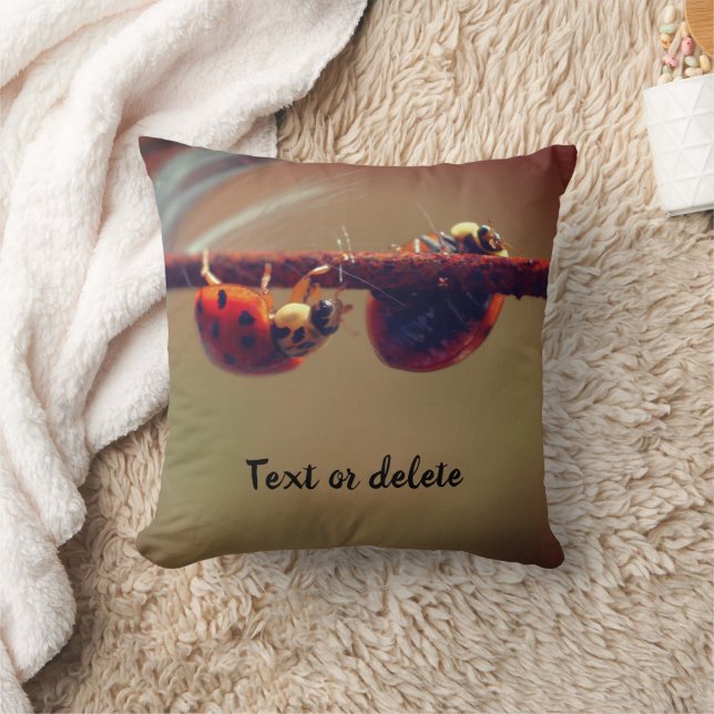 Cojín Decorativo Equilibrio de Ladybugs Personalizado (Manta)