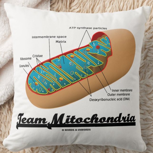 Cojín Decorativo Equipo Mitochondria (Humor Mitochondrion) (Team Mitochondria throw pillow for any exerciser who knows that mitochondria power ourselves!)