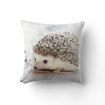 Erizo lindo del bebé