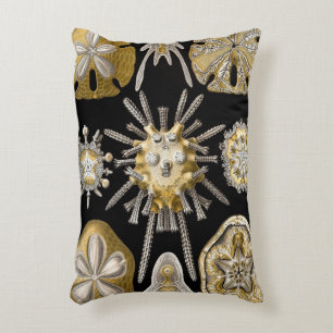 Cojín Decorativo Erizos de Mar Antiguos Dólares de Arena por Ernst 