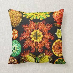 Cojín Decorativo Ernst Haeckel Ascidiae