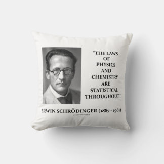 Cojín Decorativo Erwin Schrödinger Física Química Estadística