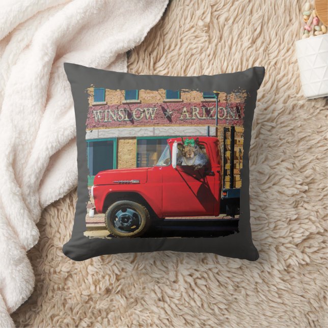 Cojín Decorativo Es una ardilla, Señor. (Manta)