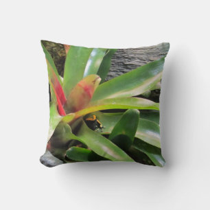 Cojín Decorativo Escarcha escondida en planta