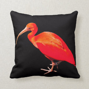 Cojín Decorativo Escarlata Ibis